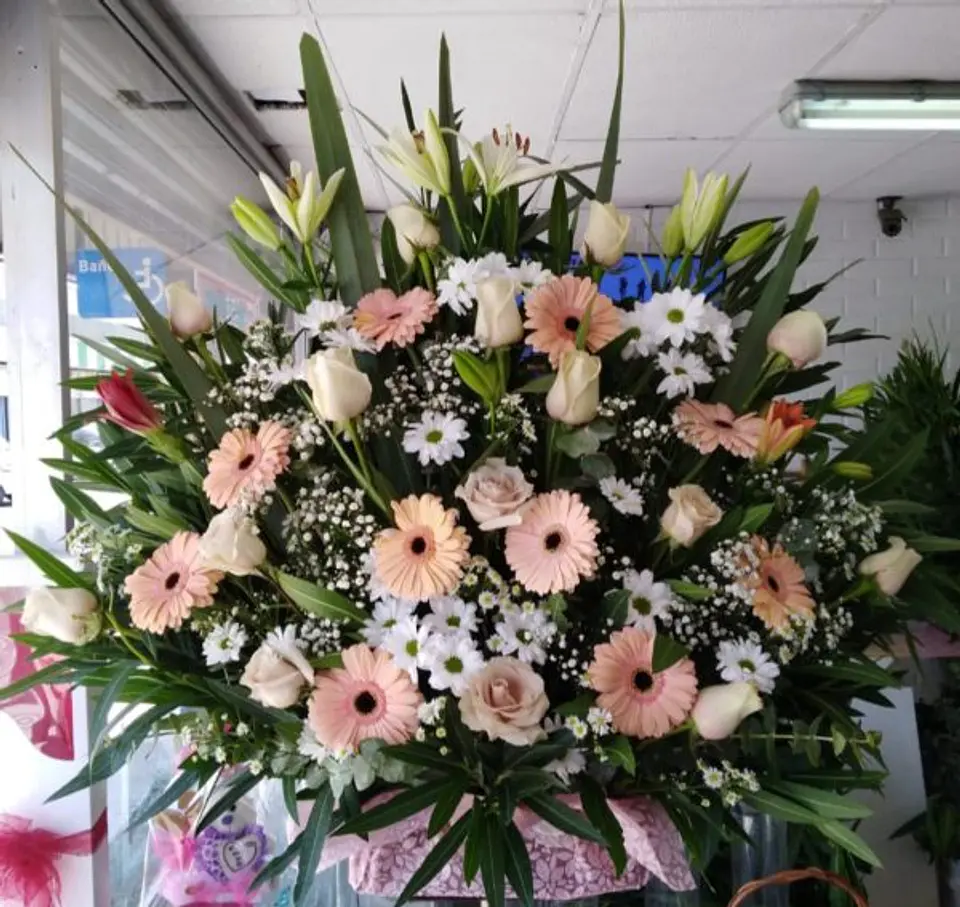 Arrimo de Gerberas 1