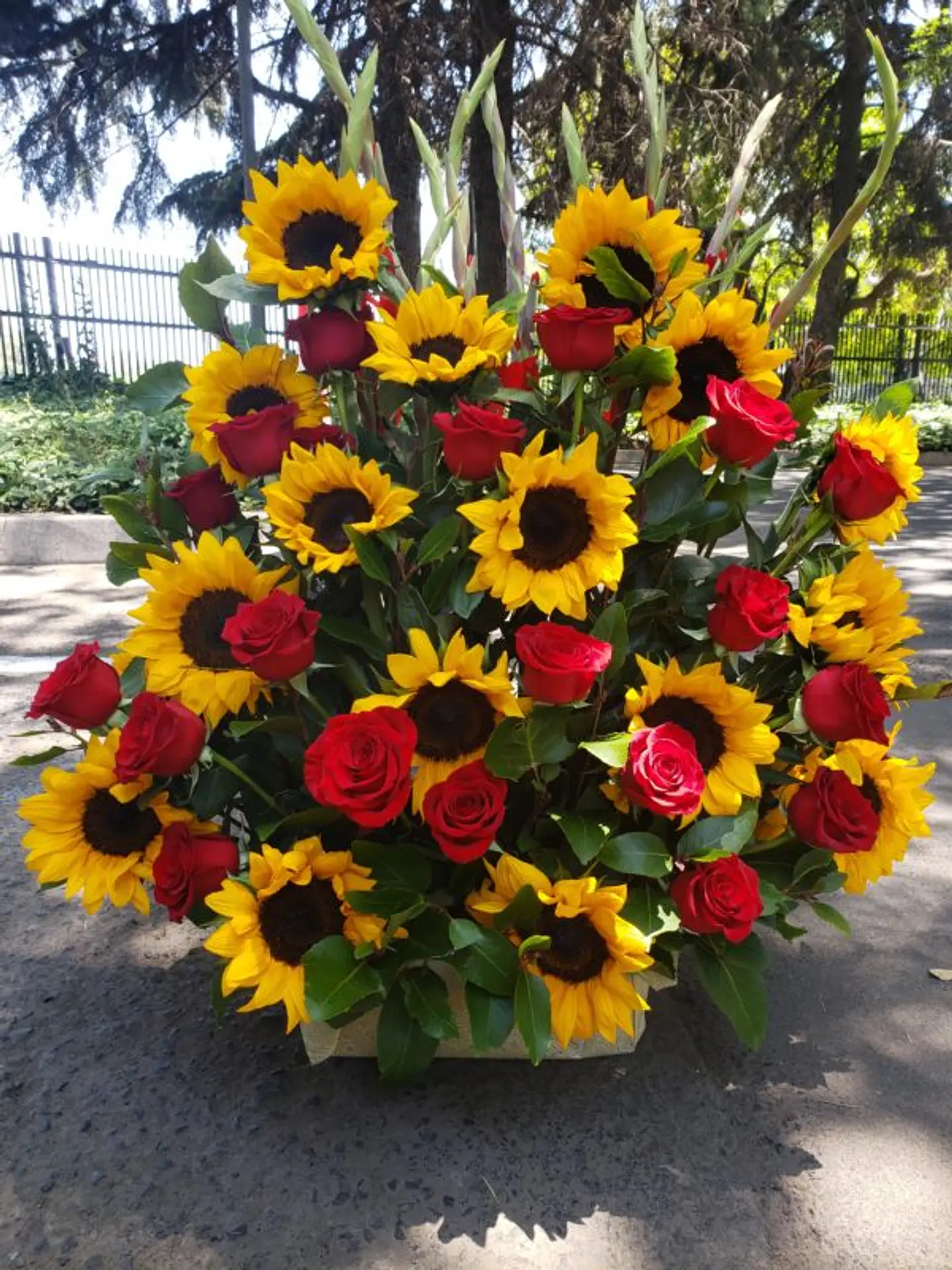 Arrimo de Girasoles y Rosas 1