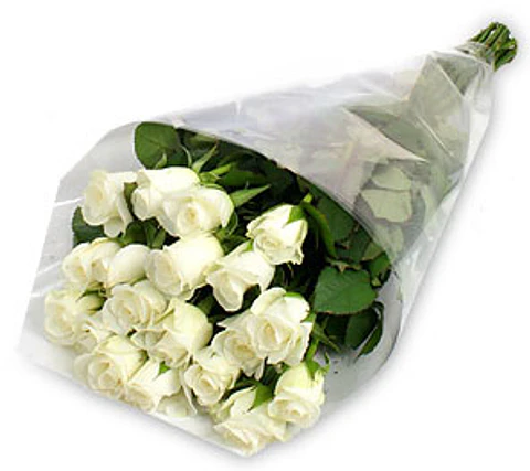 Ramo de 25 Rosas Blancas