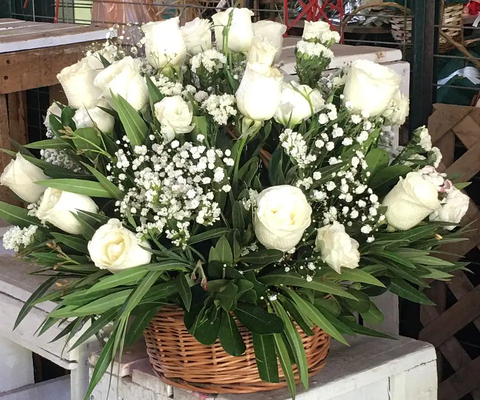 Canasto de Rosas Blancas y Ghipso 1