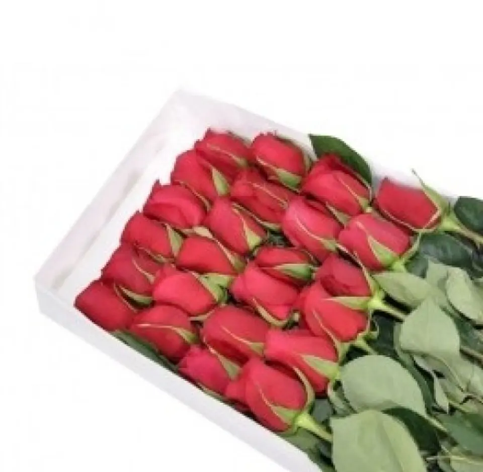 Caja de 24 Rosas Ecuatorianas 1