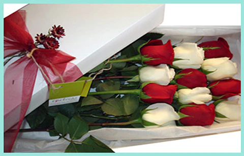 Caja de 12 Rosas 