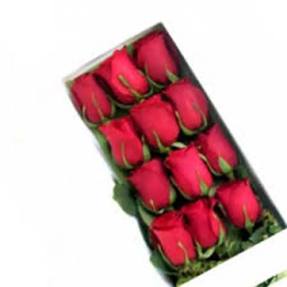 Caja de 12 Rosas Ecuatorianas 1