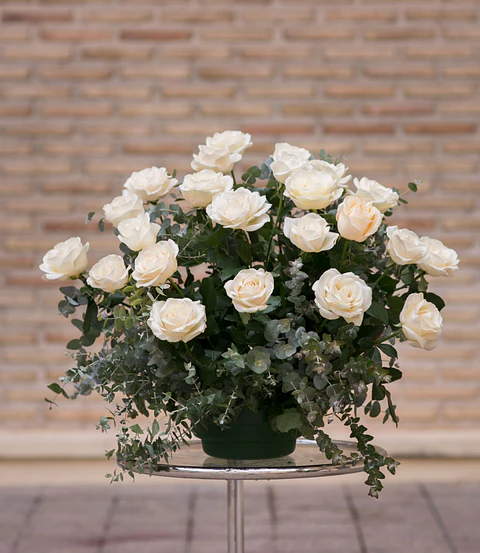 Rosas y Eucaliptus