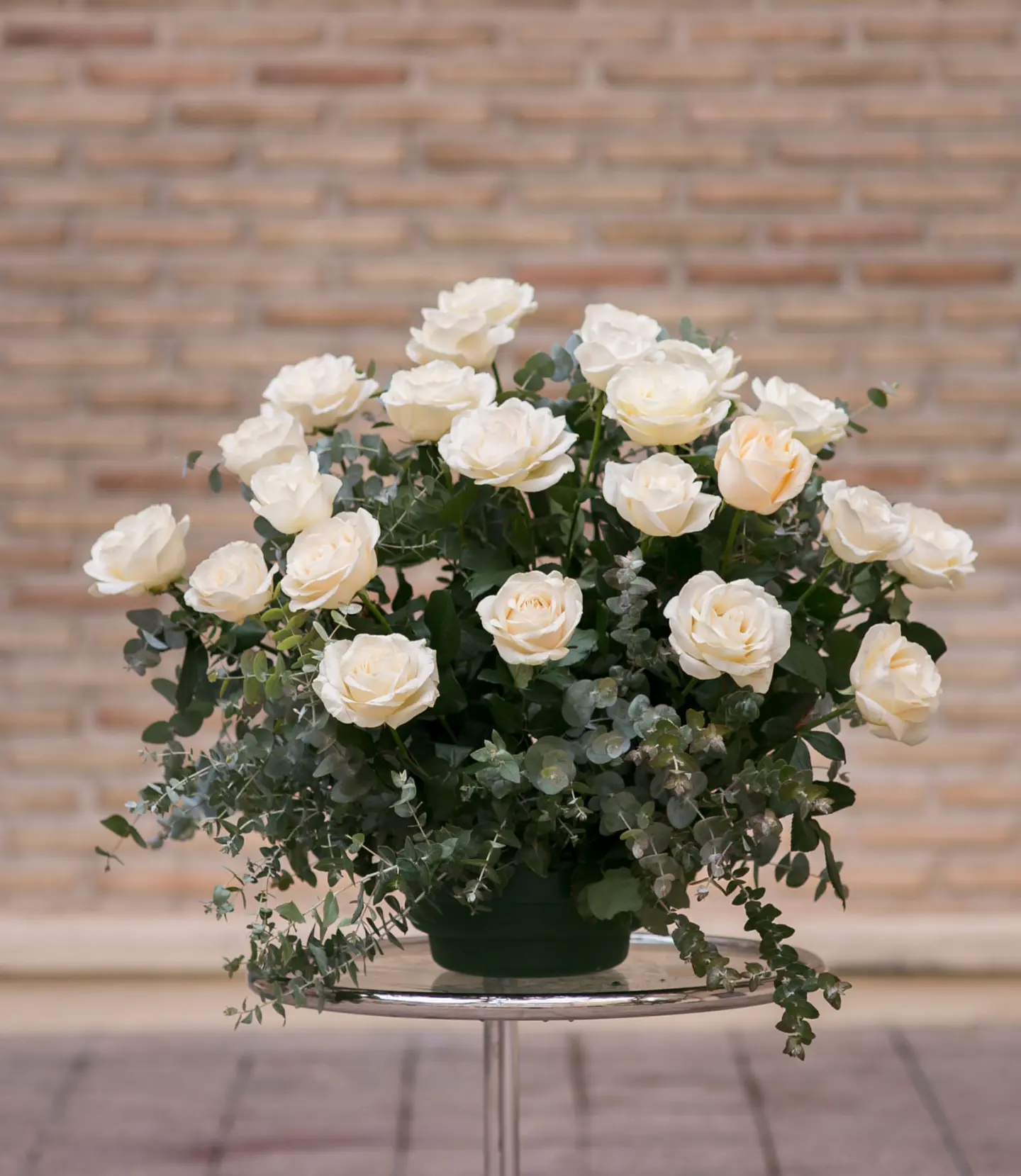 Rosas y Eucaliptus 1
