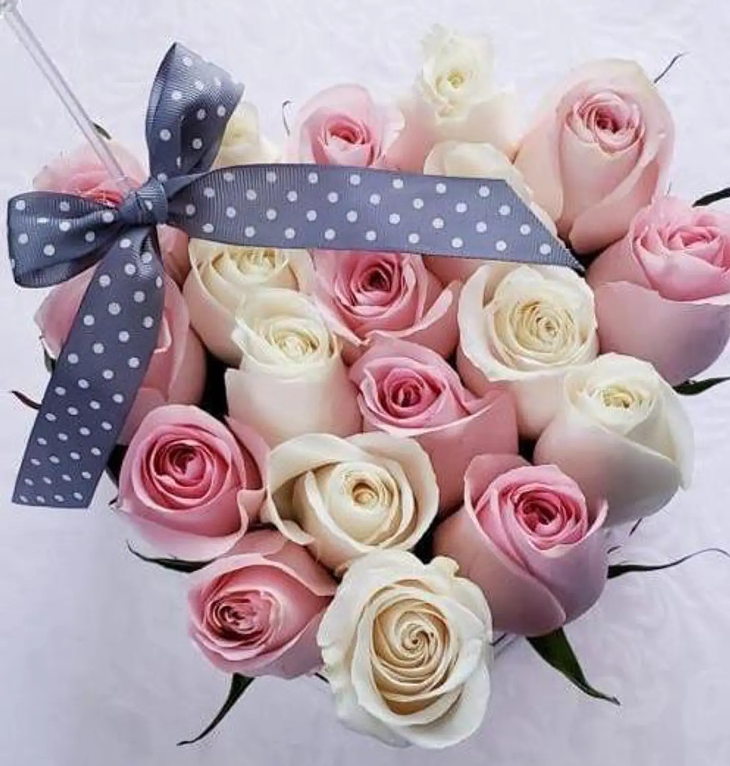 Corazón de Laura 1