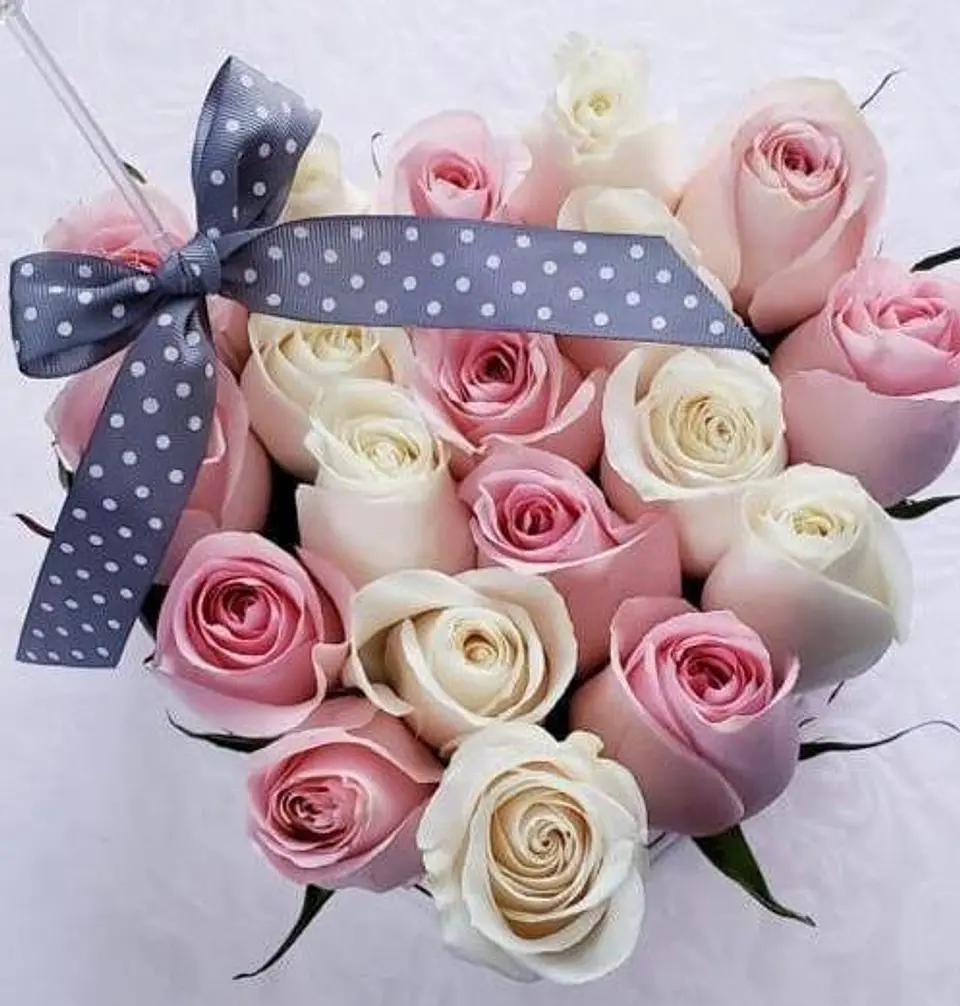 Corazón de Laura 1