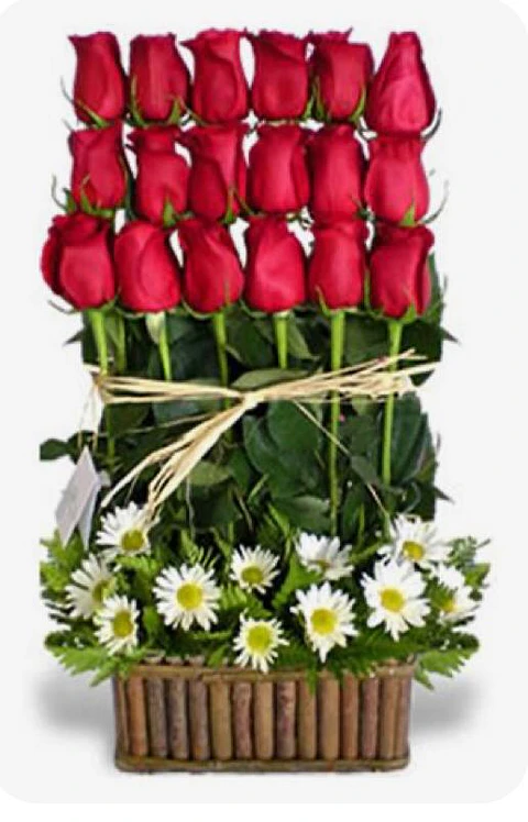 Arrimo de 18 Rosas Rojas