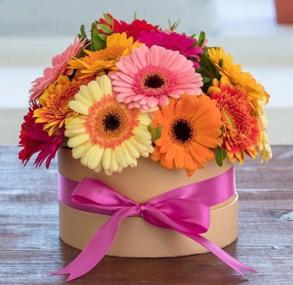 Caja Redonda de Gerberas 1