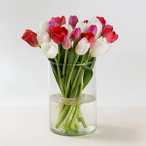 Bohemian 30 Tulipanes