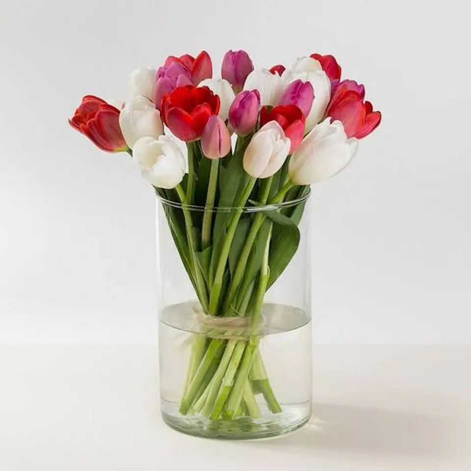 Bohemian 30 Tulipanes 1