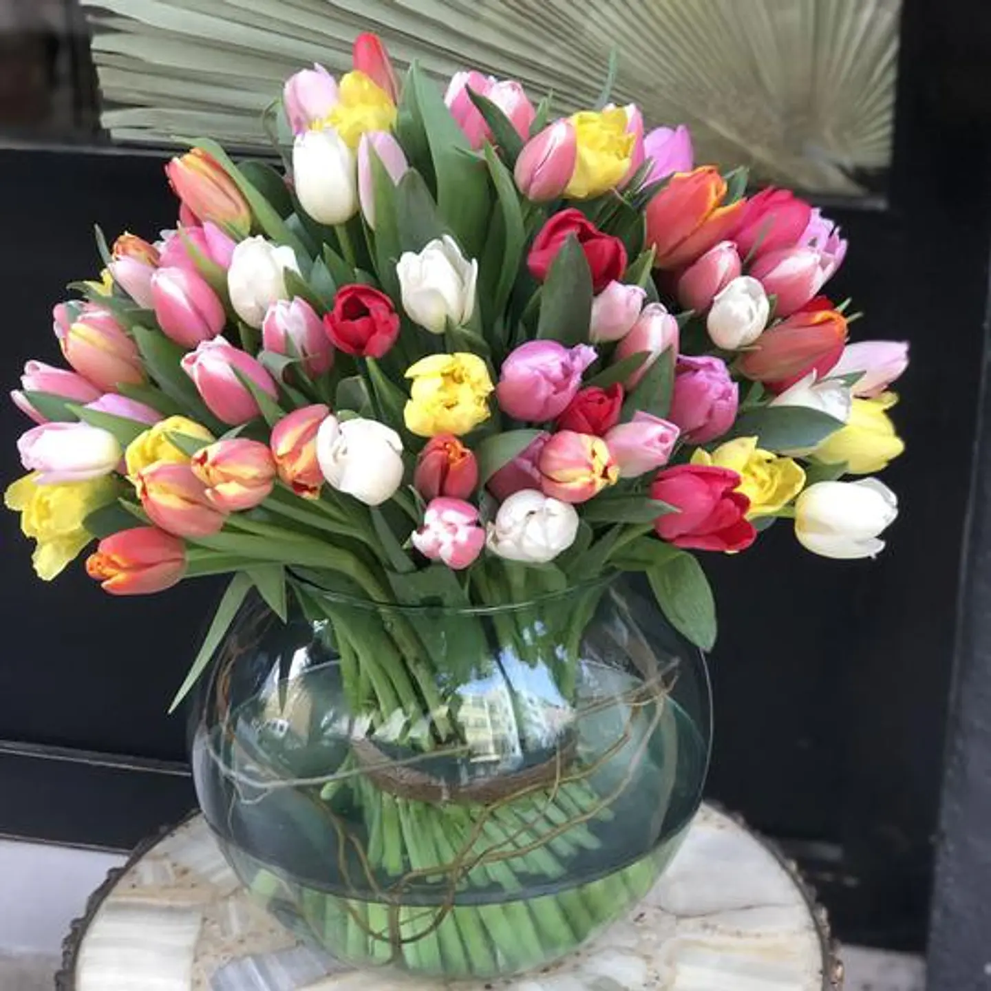 Pecera de 50 Tulipanes 1