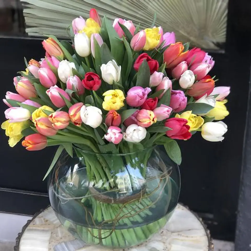 Pecera de 50 Tulipanes 1