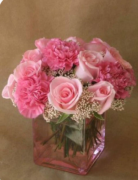 Cubo de Rosas y Claveles