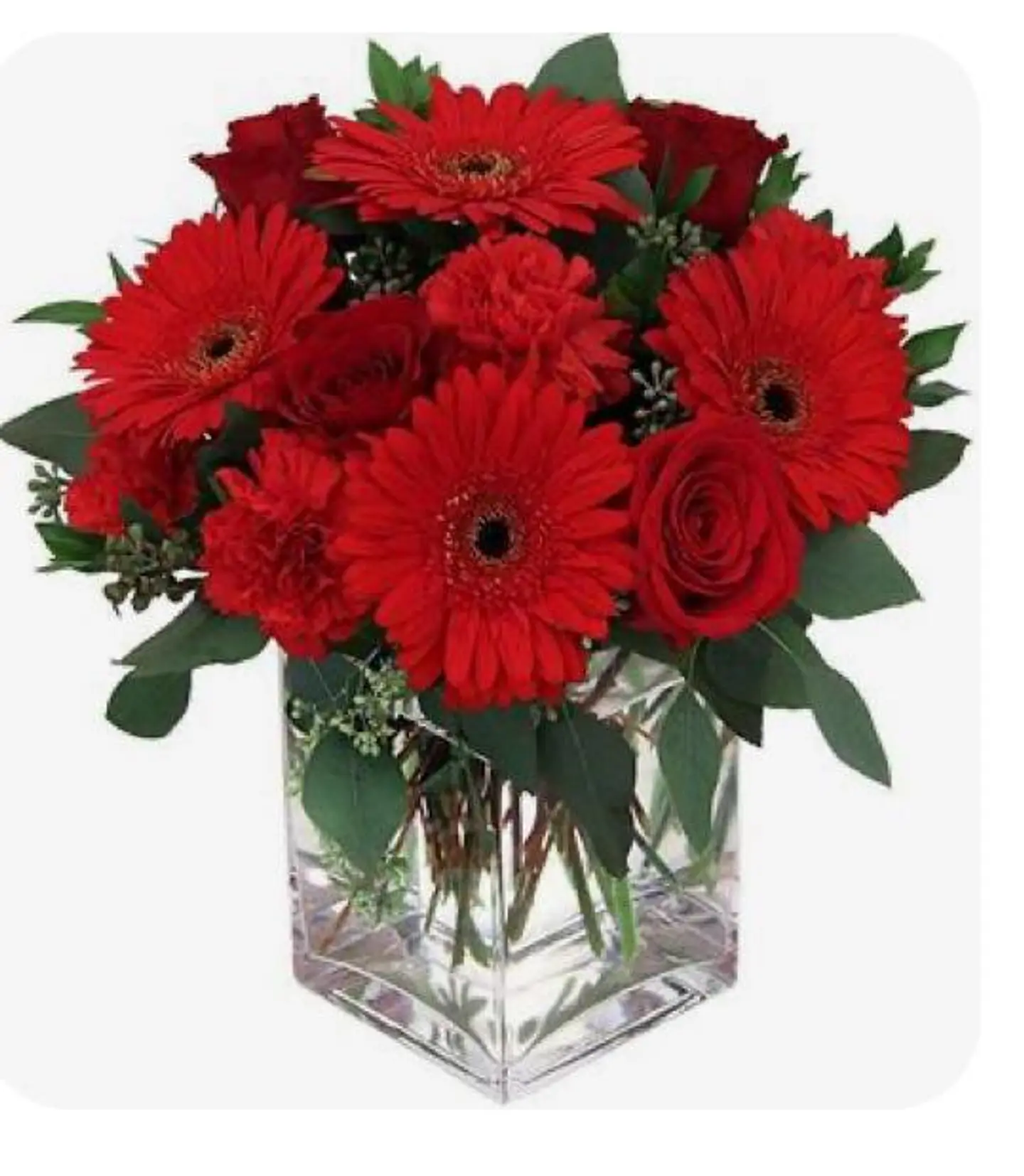 Cubo de Rosas y Gerberas 1