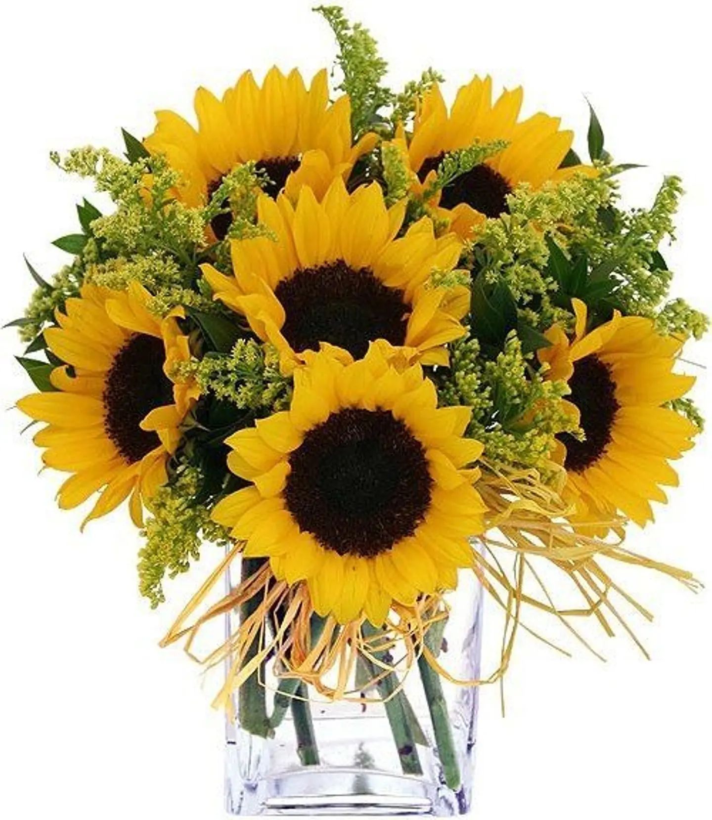 Cubo de Girasoles 1