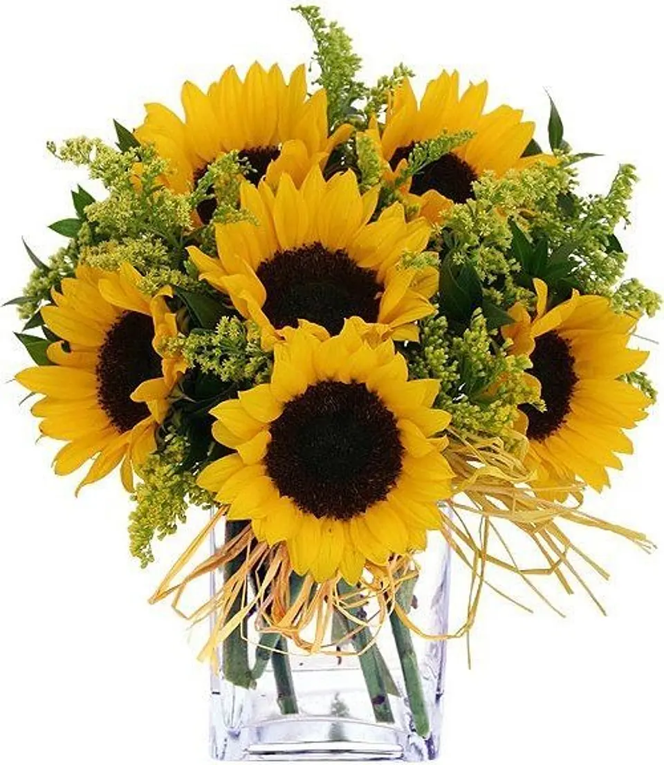 Cubo de Girasoles 1