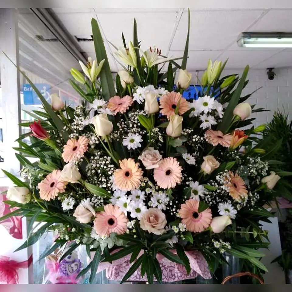 Arrimo de Gerberas 1