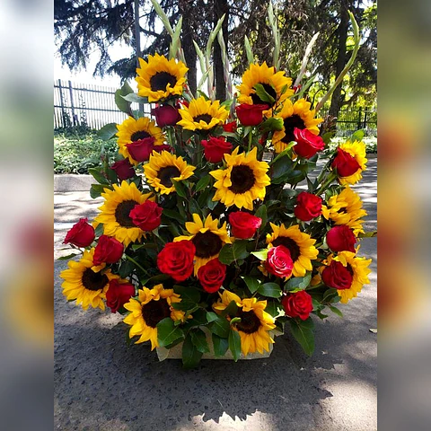 Arrimo de Girasoles y Rosas