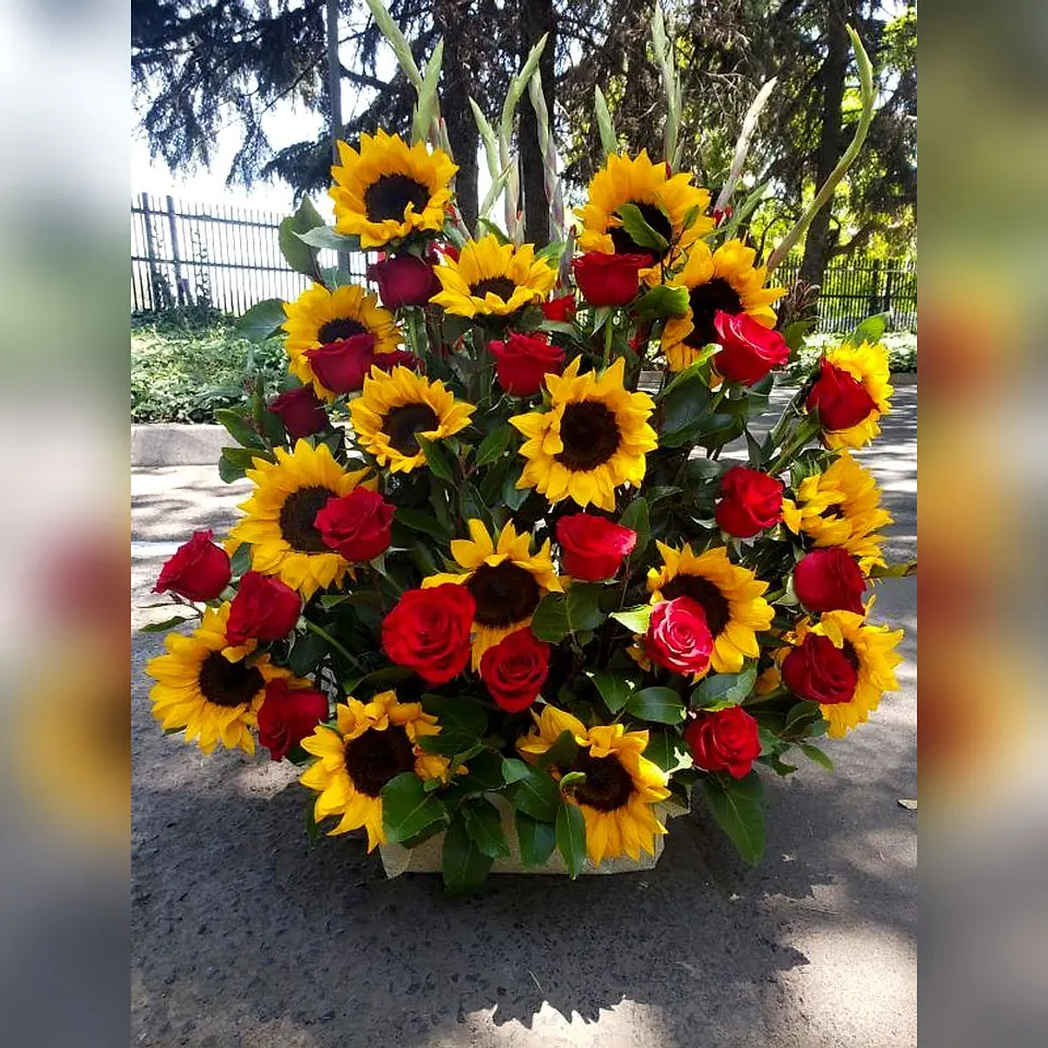 Arrimo de Girasoles y Rosas 1