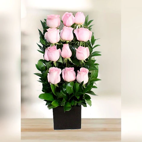Arrimo de 12 Rosas Ecuatorianas