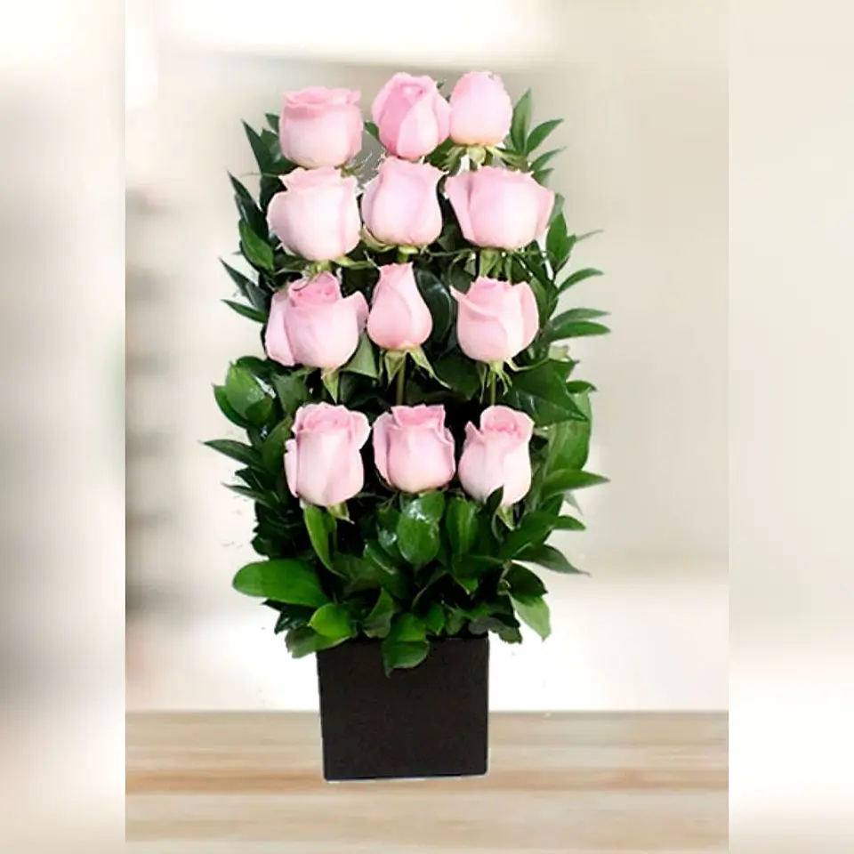 Arrimo de 12 Rosas Ecuatorianas 1