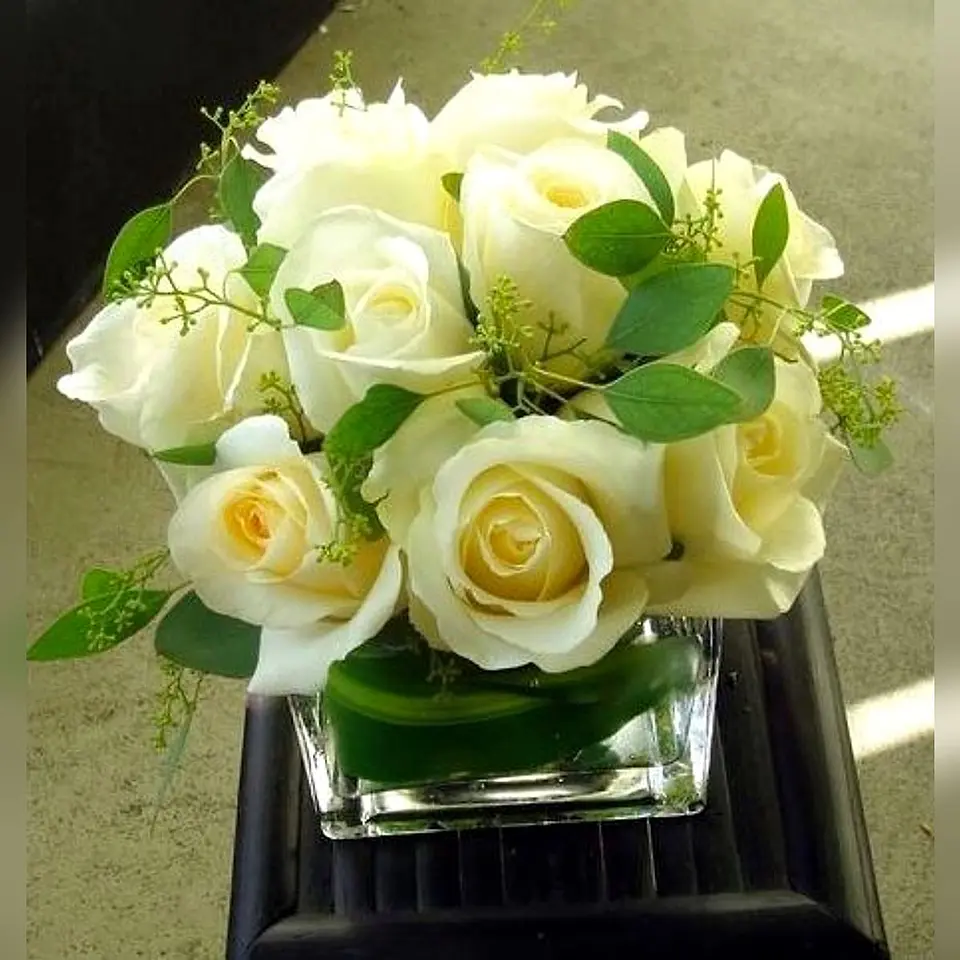 Cubo de 12 Rosas Blancas 1