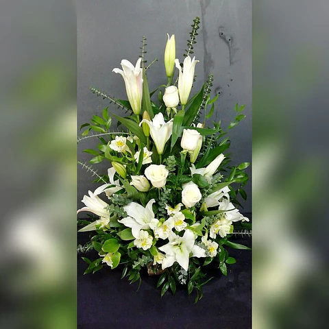 Arrimo Mediano Lilium y Rosas