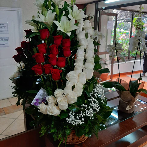 Arrimo de Rosas Funebre