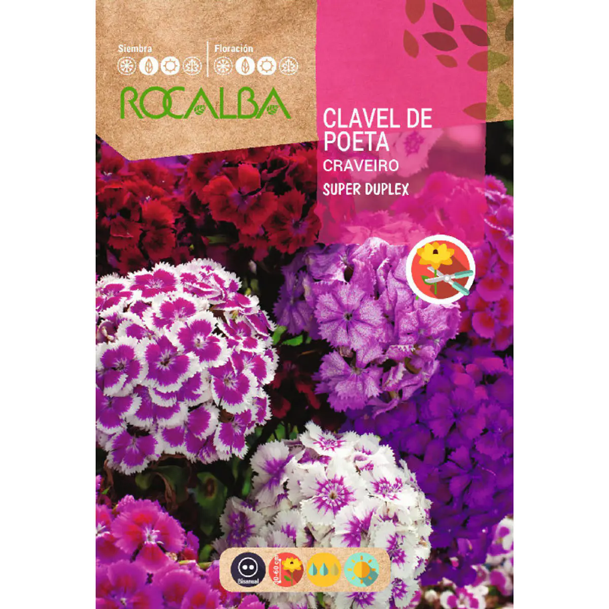 Semillas Clavel del Poeta - Mix de colores / Sobre 3g
