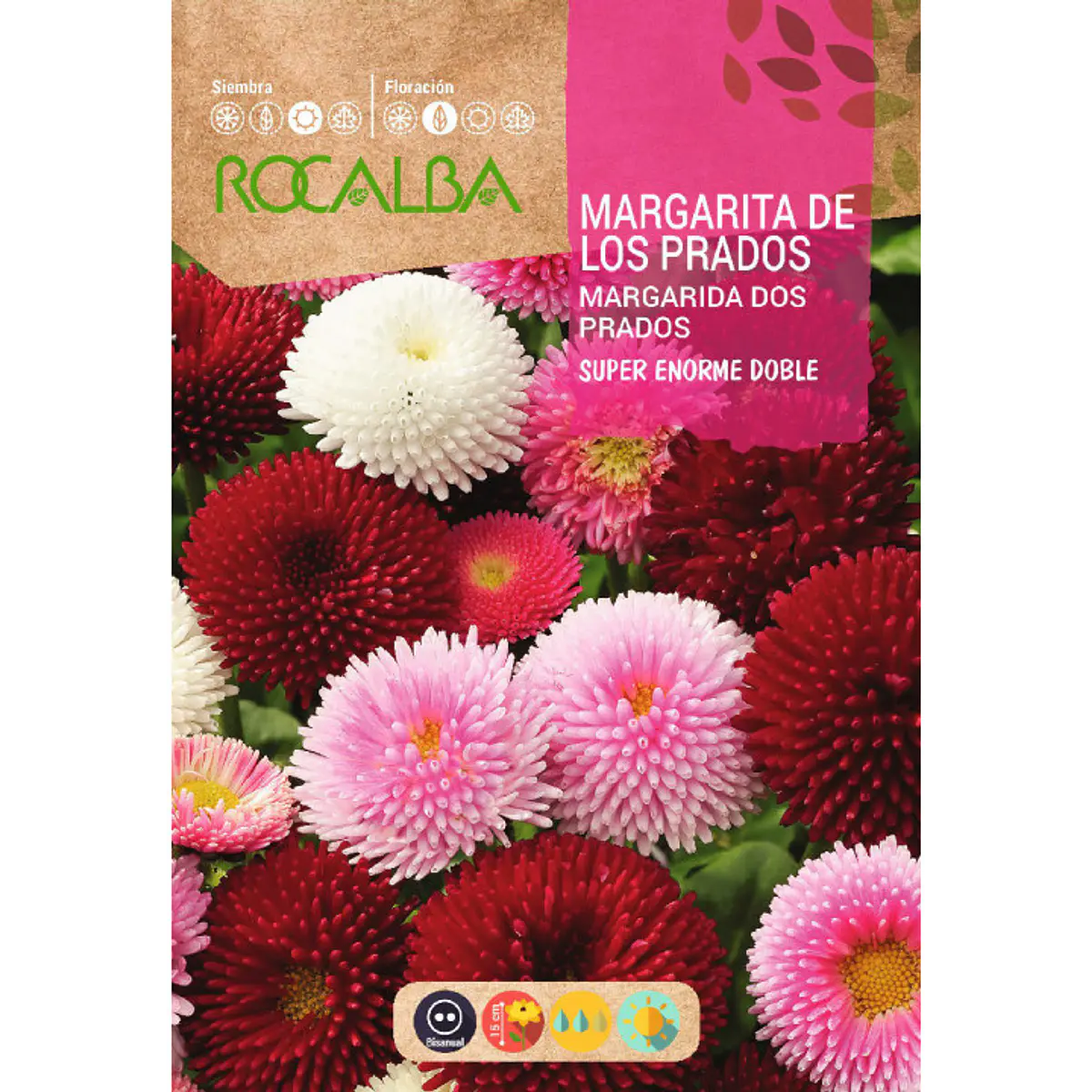 ROCALBA SEMILLA MARGARITA DE LOS PRADOS