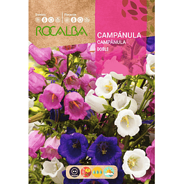 Campanula Doble Variada (Semillas)