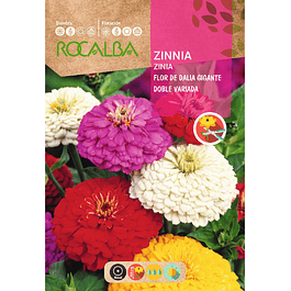 Zinia Flor de Dalia Gigante Doble Variada (Semillas)