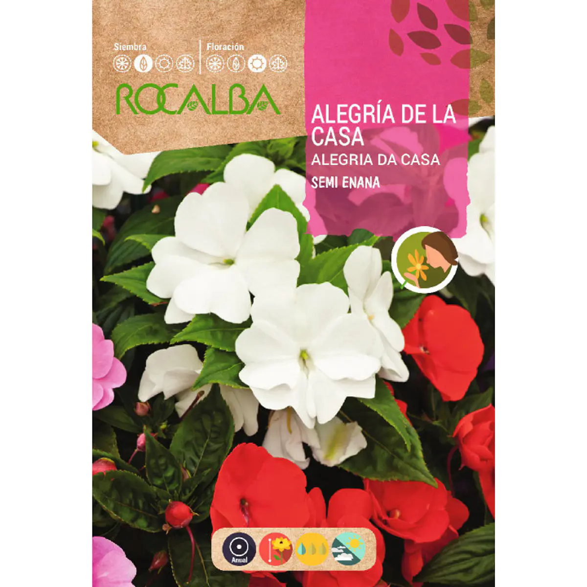 Alegria de la Casa Semi Enana (Semillas)