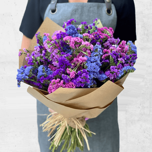 Statice Mix Plantines 2026