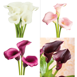 Pack De Calas 4 Colores 2026 (Tuberos)