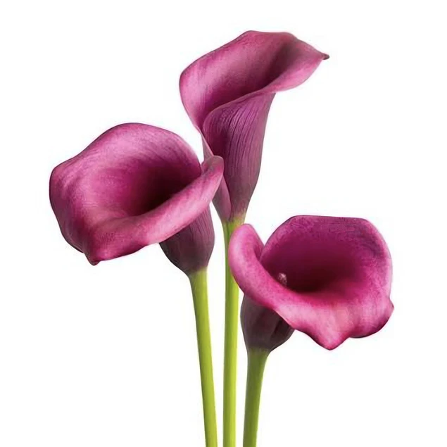 Caja Grande dia de la Madre 2026