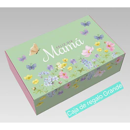 Caja Grande dia de la Madre 2026