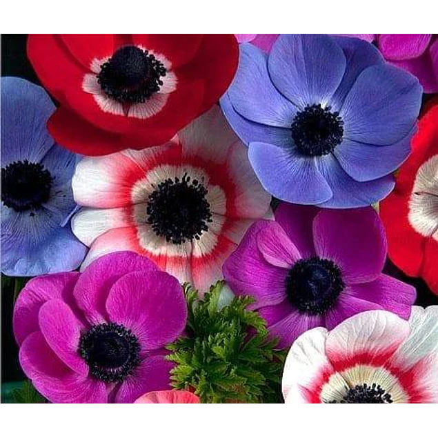 Caja Detalle Dia de la Madre 2026