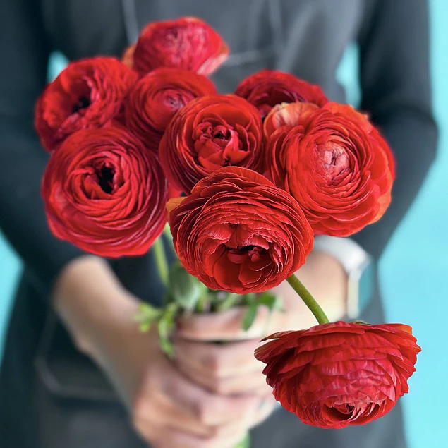 Tazon dia de la Madre con Bulbos