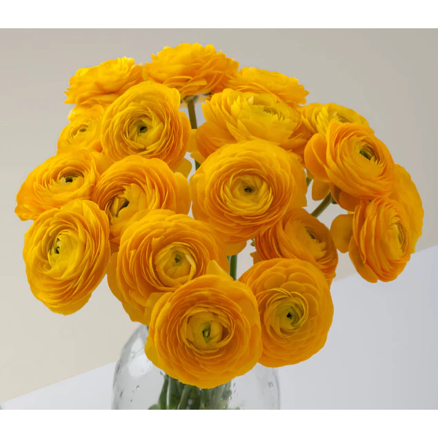 Tazon dia de la Madre con Bulbos