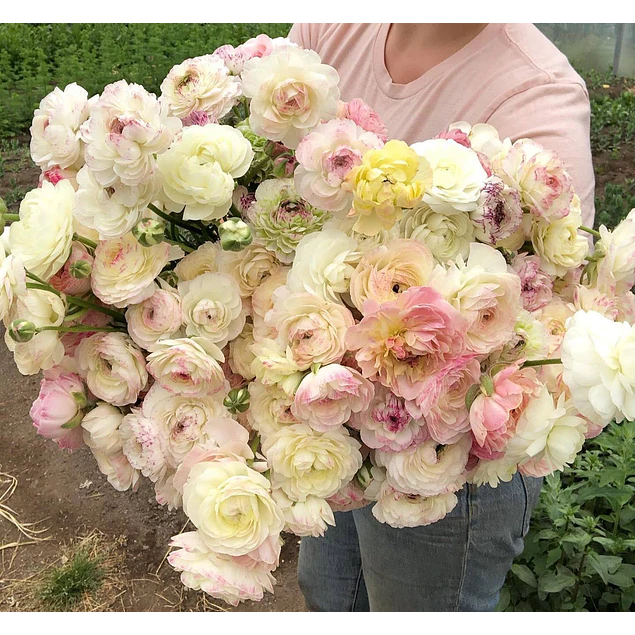 Tazon dia de la Madre con Bulbos