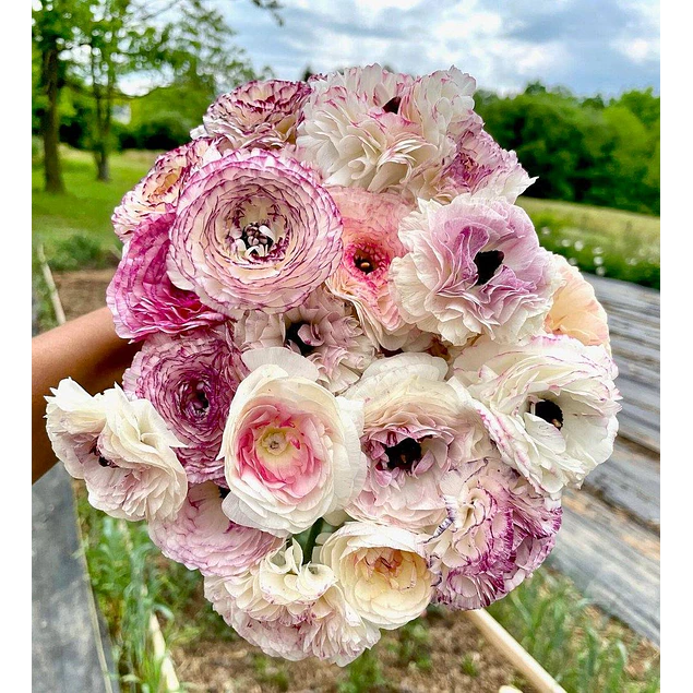 Tazon dia de la Madre con Bulbos