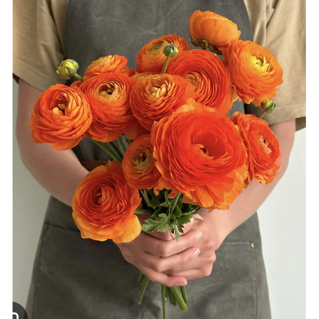 Tazon dia de la Madre con Bulbos