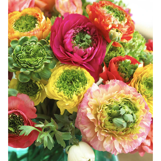 Tazon dia de la Madre con Bulbos