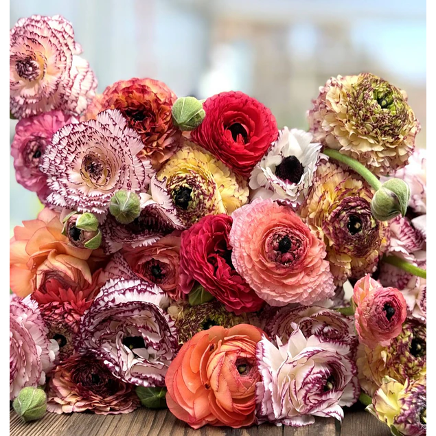 Tazon dia de la Madre con Bulbos