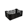2 cajas de bulbos tulipanes 1000un