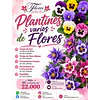Plantines Varios de Flores