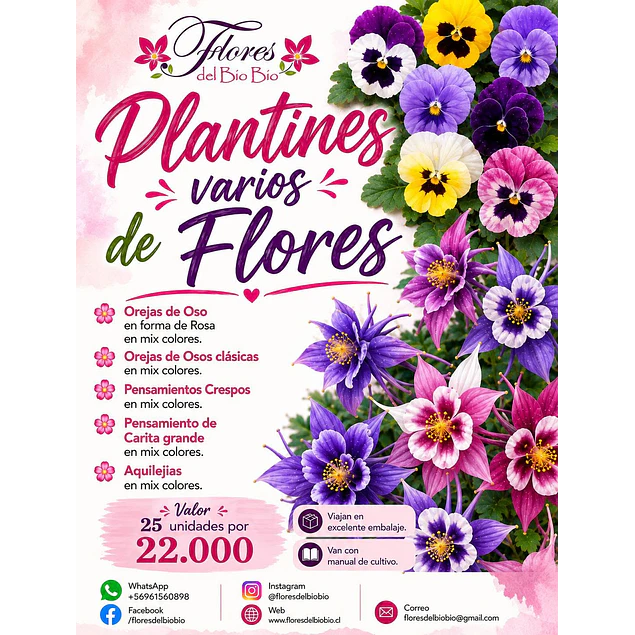 Plantines Varios de Flores