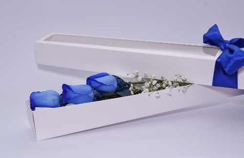 Combo Especial Caja con 3 Rosas Azules y Chocolate